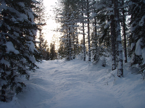 Skidspår